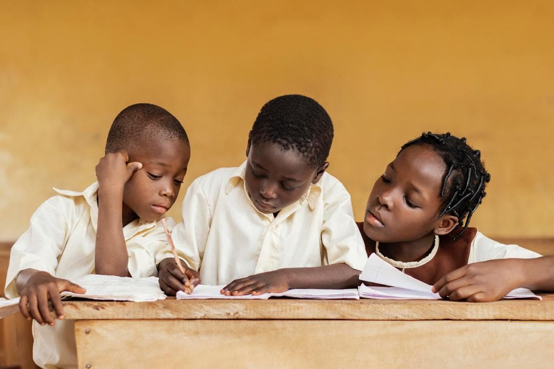 Éducation & accompagnement